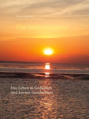 cover image of Die Welt dahinter